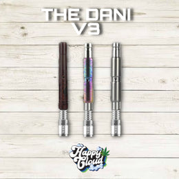 THE DANI v3