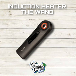 THE WAND INDUCTION HEATER