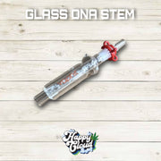 GLASS DNA STEM